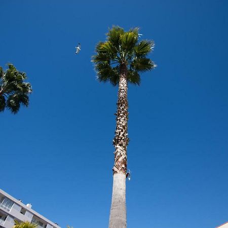 Le Parc Pointe Croisette Lägenhet Cannes Exteriör bild